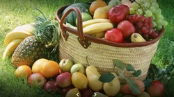 Jaydada International